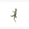 Valorant Gekko Tapestry Official Valorant Store