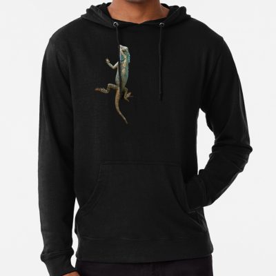 Valorant Gekko Hoodie Official Valorant Store