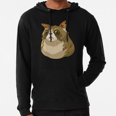 Excuse Me Cat Spray Hoodie Official Valorant Store